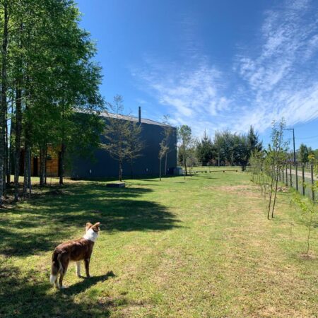 548205702_3027081097473185_4756924302142210950_n