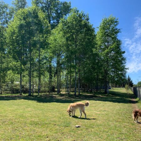 549186753_3027081937473101_4636415939436876251_n