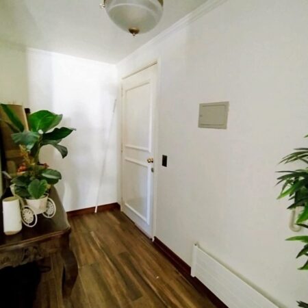 549703123_3028115910703037_1057302387796392230_n