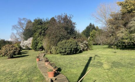 555527276_3035925996588695_2488589809292069862_n