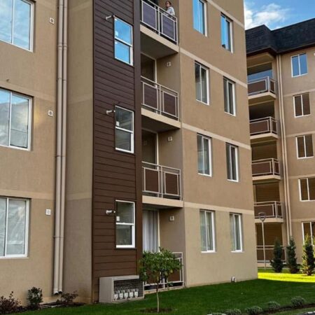 557630895_3046776892170272_7474721262760851703_n