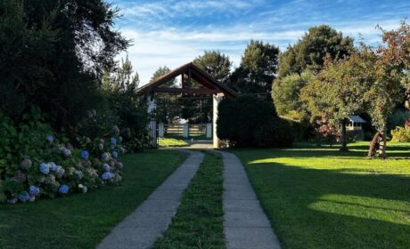 557827629_3043467519167876_1889325707893326844_n