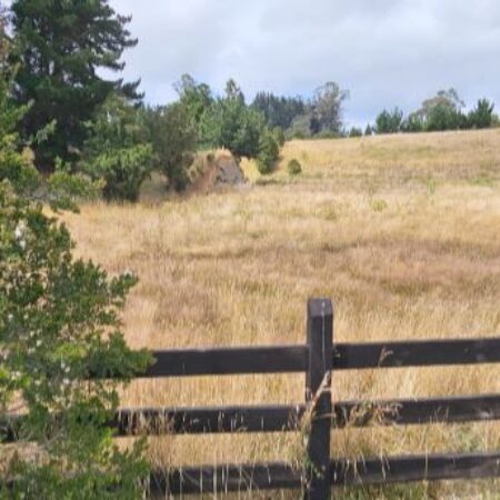 558455725_3048828098631818_387543930899829255_n