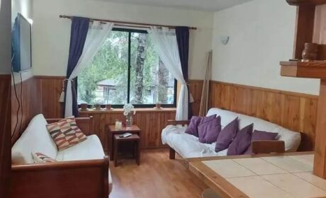 558869753_3042745739240054_5716443259793468636_n