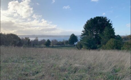 561233776_3048827938631834_6096682974028199860_n