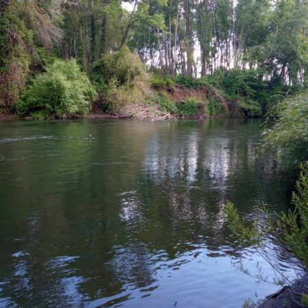 577762490_3083543715160256_1665410467285205339_n