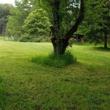 580121405_3083533771827917_758247893562570475_n