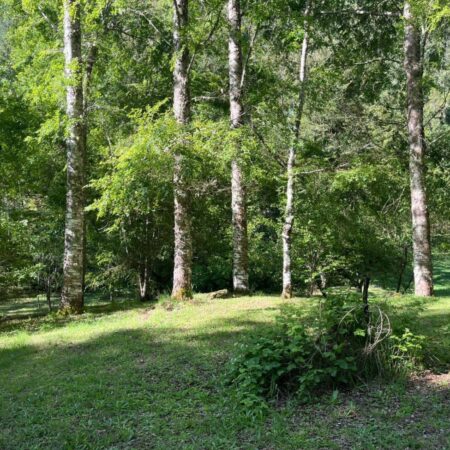 580527830_3088877174626910_3995582232991186467_n