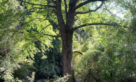 581681611_3088877107960250_6044080869975259531_n