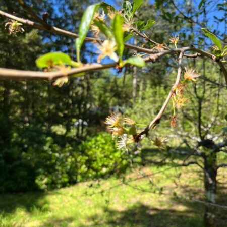 581863396_3088877331293561_5311729385096497456_n