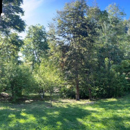 581994407_3088877254626902_3854676026185217470_n