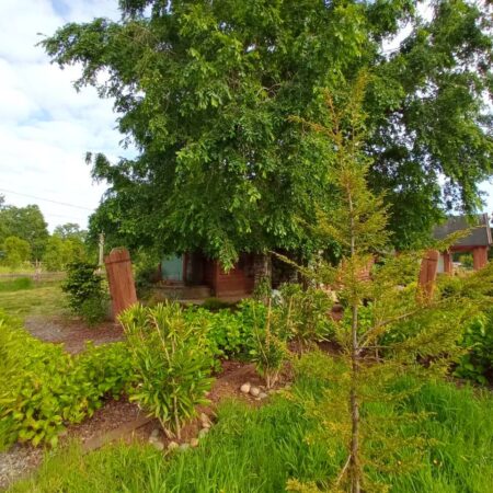 584406397_827069593583432_1103210170915902414_n