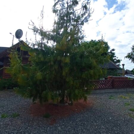 584411198_827070076916717_5903297981247150215_n