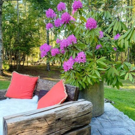 584538551_3092641854250442_517314393211964904_n