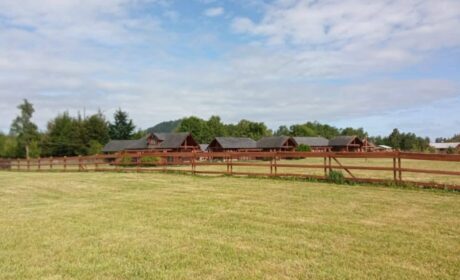 584610499_827100896913635_5852622844684109689_n