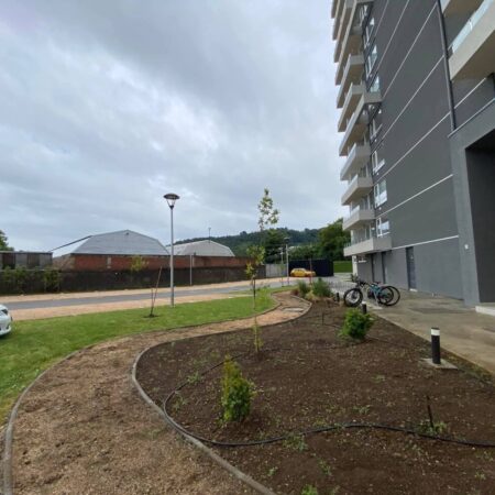 595431615_3111230985724862_8201797668638116226_n