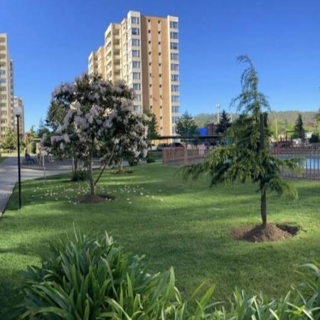 597965278_3116212101893417_2470377734374563281_n