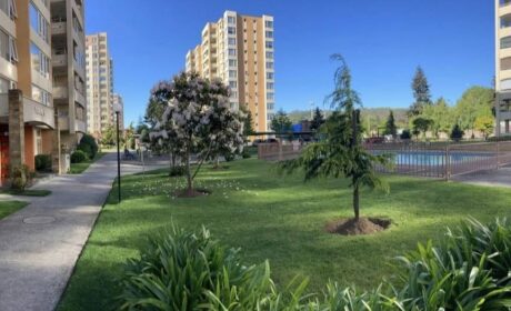 597965278_3116212101893417_2470377734374563281_n