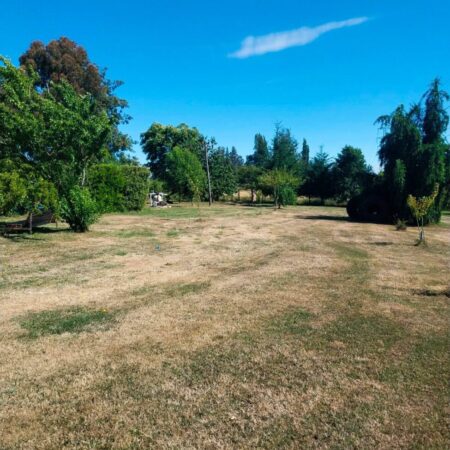 611518760_3140210329493594_1884074659017314014_n