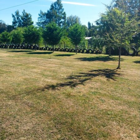 612098341_3140210399493587_3269607804075199741_n