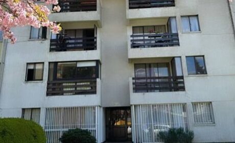 615435203_3145977122250248_7220423894641439483_n