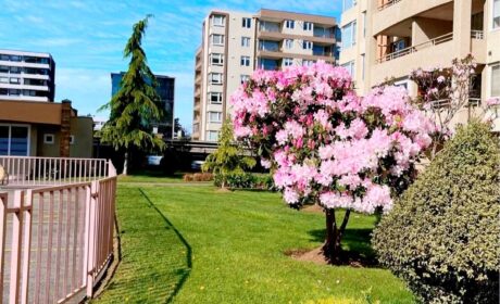 617532934_3157742921073668_9186919531282624846_n