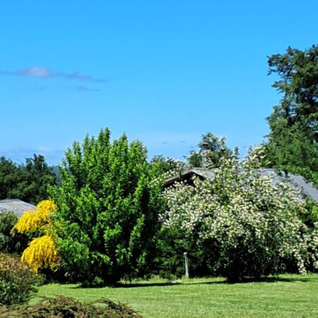 620086994_3159194517595175_1089382201992431819_n