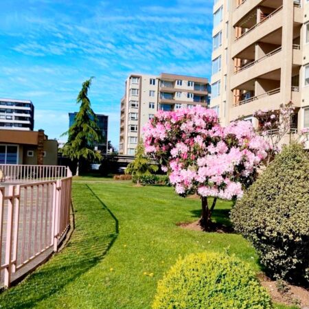 623848830_3165240313657262_3137433509942998254_n