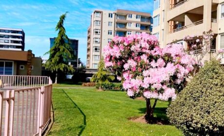 623848830_3165240313657262_3137433509942998254_n