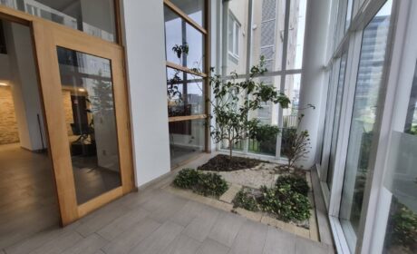 626067689_3168568129991147_6070442223420235796_n