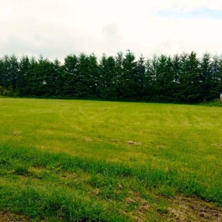 632847885_3179652832216010_1836742357969480229_n