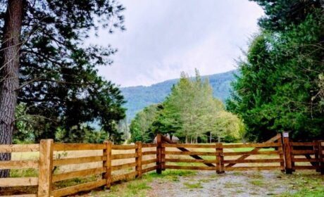 641262947_3190040301177263_7156944209235504272_n