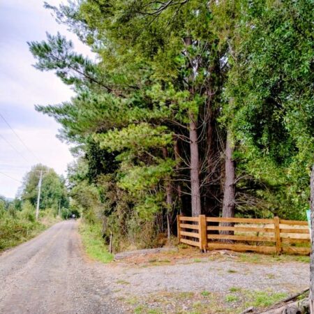 641304643_3190040367843923_6561655300704261820_n