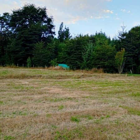 641383056_3190040481177245_2464435142602856440_n