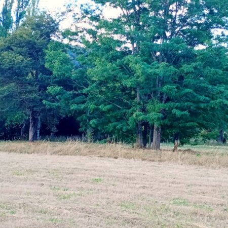 642816767_3190040784510548_975540776829445974_n