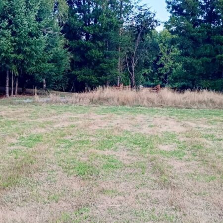 643381566_3190040551177238_4638774438265458912_n