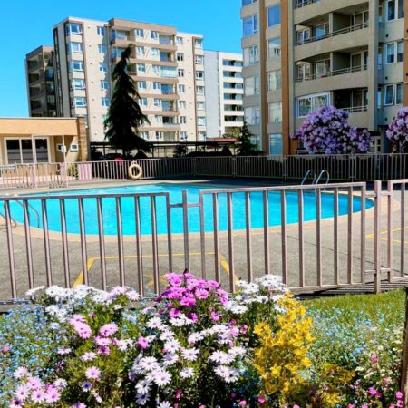 643382762_3194535380727755_1508499784717244049_n