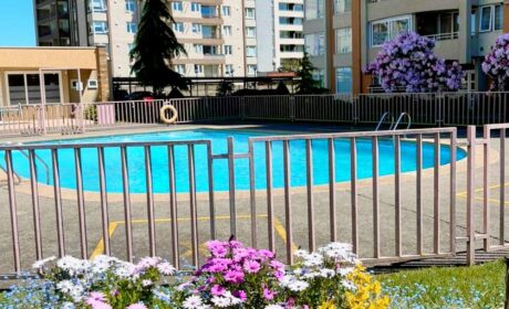 643382762_3194535380727755_1508499784717244049_n