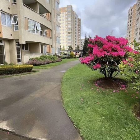 647295698_3198134950367798_7979673515571138490_n