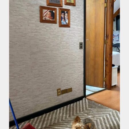 648077567_3201175680063725_1304705737436859605_n