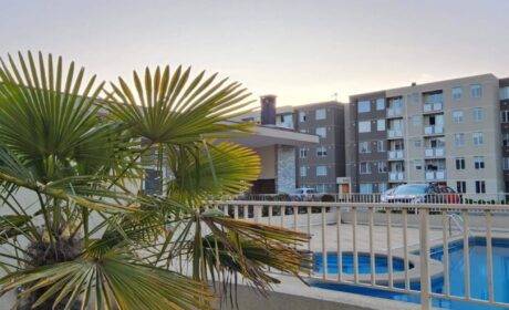 650404505_3206873299493963_7097869113764763221_n