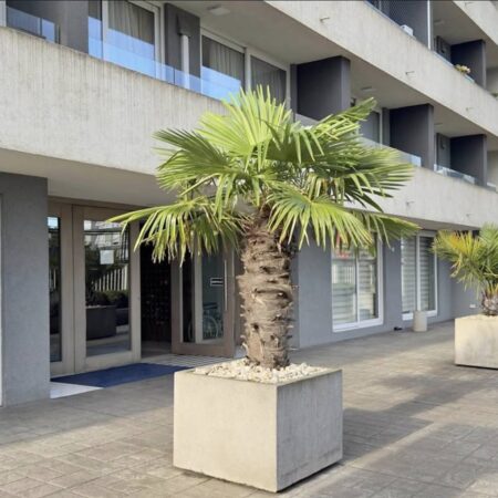 651333375_3209236879257605_5745495725339749055_n