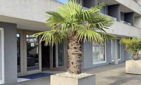 651333375_3209236879257605_5745495725339749055_n