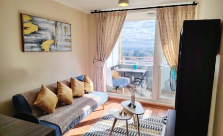 653701153_3210564379124855_6519797639777980093_n