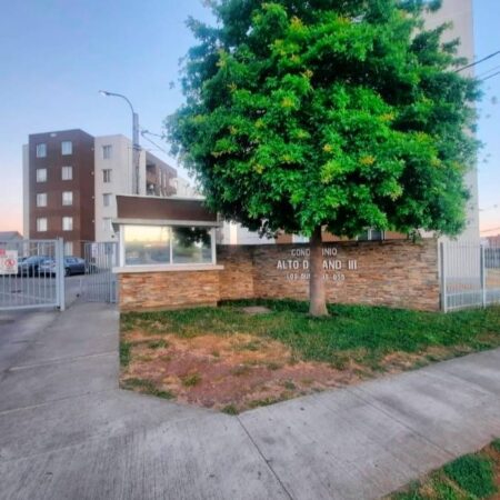 653704181_3211439809037312_9188303483856362317_n