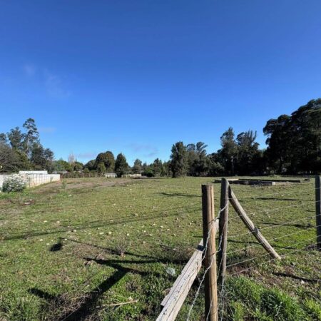 660479193_3229884430526183_1599690024118742342_n