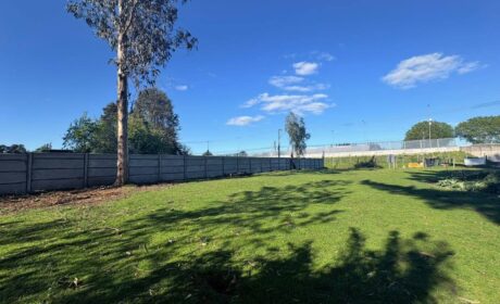 660541167_3230868637094429_5420195531137227494_n