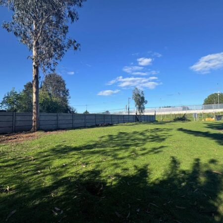 660541167_3230868637094429_5420195531137227494_n