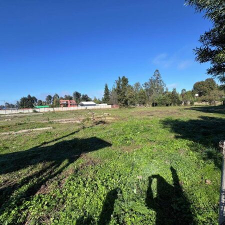 661414791_3229884343859525_6239014499405732727_n