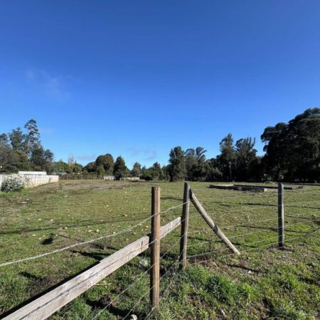 662294213_3229884280526198_2471868823732272443_n